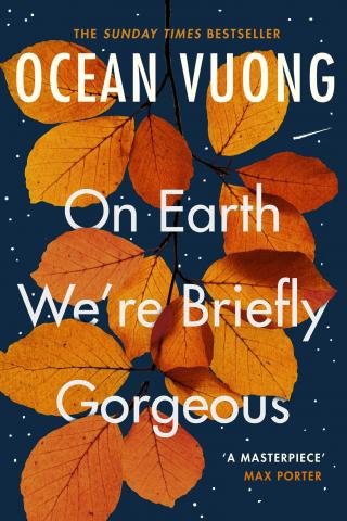 On Earth We’re Briefly Gorgeous Paperback At Wholesale Price